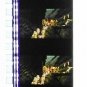 RARE 1 left - Movie Film #32 - 6 Frames Made in JAPAN Iron Town Tataraba Mononoke Ghibli (real film)
