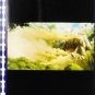 RARE 1 left - Movie Film #33 - 6 Frames - Made in JAPAN - Battle Field - Mononoke Ghibli (real film)