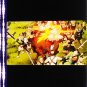 RARE 1 left - Movie Film #34 - 6 Frames - Made in JAPAN - Battle - Mononoke - Ghibli (real film)
