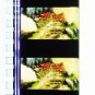 RARE 1 left - Movie Film #37 - 6 Frames - Made in JAPAN - Battle - Mononoke - Ghibli (real film)