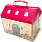 RARE - Case Container - Paper - Handle - Store - Jiji Kiki's Delivery Service Ghibli 2016 no product
