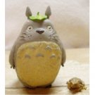 RARE 2 left - Keychain Strap Holder - Figure Clear Case - Totoro Frog - Ghibli Cominica no product