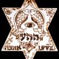 Star of David Wall Decor + Kabbalah Love    Pyrography