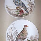 British Anchor WILD BIRD -- 2 Dinner Plates