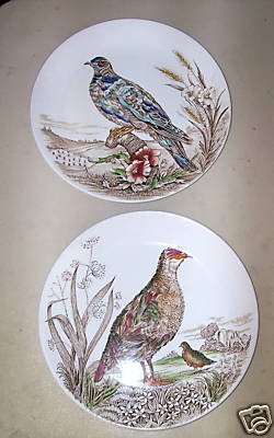 British Anchor WILD BIRD -- 2 Dinner Plates