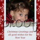 Custom Photo Christmas / Holiday Cards + Free thank You Cards -- You Print