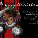 Custom Photo Christmas / Holiday Cards + Free thank You Cards -- You Print