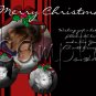 Custom Photo Christmas / Holiday Cards + Free thank You Cards -- You Print