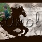 Completely Custom Western Birthday Invitations, I design & You Print unlimited quantity
