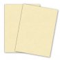 Legal Size Heavy Duty Digital Index Ivory Card Stock 80 Lb. 8 1/2" X 14" Option