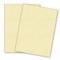 Premium Printable 80# Cover Ivory Card stock - 50 Sheets - 8.5" x 11" inches