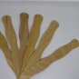 200 Pack of Crafty Natural Wavy Jumbo Popsicle Wood Fan Handles Wedding Sticks