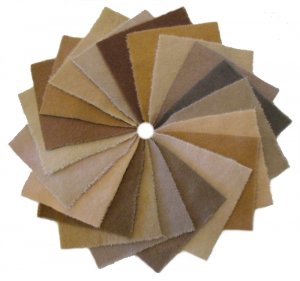 Penny Rug Collection 'Khaki' - Hand Dyed Wool Pack 5
