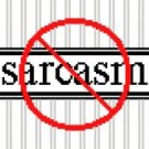 6185 No Sarcasm Needlepoint Canvas