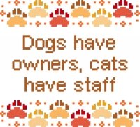 6205 Sayings Needlepoint Canvas