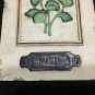 Herbal Hanging Plaques 3D Wall Art Parsley 2 Farmhouse Country Home Decor