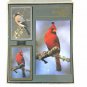 Congress Designer Series Playing Cards Cardinal Birds 2 Decks Score Pad Sealed