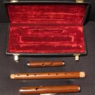 IRISH D FLUTE Rosewood NEW Cork Joint FREE Case & Ship