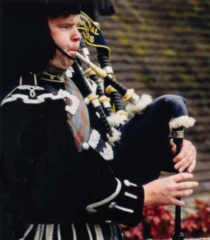 NEW CP BRAND IMPORTED FULL SIZE BLACK ROSEWOOD BAGPIPES