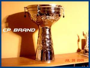 NEW Silver Doumbek Djembe 8" X 14" DRUMS CP BRAND NEW