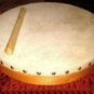 HAND DRUM CP Brand New 8" Size With Beater - Excellent Quality Free Ship in USA