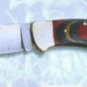 CP Brand Stainless Blade Pocket Knife - New - FREE SHIP - CP MADE MODEL CP-1039