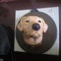 Hand Painted Dog Face Wall Plaque Hanging CP MADE Best quality Free SHIP No. 11