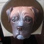 Hand Painted Dog Face CP MADE Best quality Free SHIP No. 12 Wall Hanging Plaque