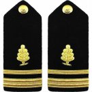 NEW US NAVY LIEUTENANT JUNIOR GRADE MEDICAL SERVICES HARD SHOULDER BOARD CP MADE NEW US NAVY LIEUTENANT JUNIOR GRADE MEDICAL SERVICES HARD SHOULDER BOARD CP MADE