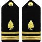 NEW US NAVY LIEUTENANT JUNIOR GRADE MEDICAL SERVICES HARD SHOULDER BOARD CP MADE