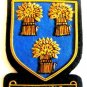 CUMMING SCOTTISH CLAN BADGE NEW HAND EMBROIDERED CP MADE HI QUALITY FREE USA SP