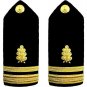 NEW US NAVY LIEUTENANT JUNIOR GRADE DENTAL CORP HARD SHOULDER BOARDS CP MADE