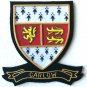 HAND EMBROIDERED IRISH COUNTY - CARLOW - COLLECTORS HERITAGE ITEM TO BUY CP MADE