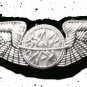 US ARMY AIR CORP WW2 NAVIGATOR SILVER GOLD WINGS 3 INCH CP BRAND 4 COLLECTORS