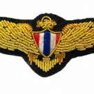 THAILAND AIR FORCE PILOT GOLD BULLION WIRE WING EXCELLENT QUALITY CP BRAND THAILAND AIR FORCE PILOT GOLD BULLION WIRE WING EXCELLENT QUALITY CP BRAND