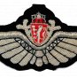 NORWAY AIR FORCE PILOT SILVER BULLION WIRE WING  EXCELLENT QUALITY CP BRAND