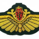 NORWAY AIR FORCE PILOT GOLD BULLION WIRE WING EXCELLENT QUALITY CP BRAND NORWAY AIR FORCE PILOT GOLD BULLION WIRE WING EXCELLENT QUALITY CP BRAND