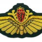 NORWAY AIR FORCE PILOT GOLD BULLION WIRE WING  EXCELLENT QUALITY CP BRAND