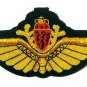 NORWAY AIR FORCE PILOT GOLD BULLION WIRE WING  EXCELLENT QUALITY CP BRAND