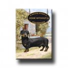 DACHSHUND House Is Not A Home FRIDGE MAGNET No 2 DOXIE