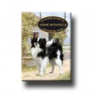 JAPANESE CHIN A House Is Not A Home FRIDGE MAGNET