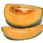 Cucumber/Cantalope  (8oz Bathsalt
