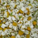 Chamomile Baby Oil  (4oz)