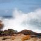 Land and Sea Body Scrub