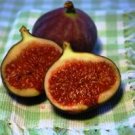 Brown Sugar Fig & Vanilla  (body l. 4oz)