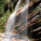 Waterfall Mist  (soap with creamy goat milk 3oz)