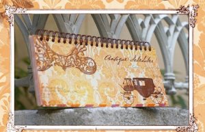 Very Quaint And Pretty Peach Victorian Floral Lace Design Weekly Planner Diary
