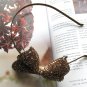 Brown Bridal Prom Rhinestones Ribbon  Bow Hairband Headband