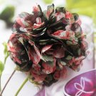 Black Red Round Flowers Hair Clip Hairclip Brooch