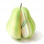 Zakka Green Pear Fruit Fun Scrapbook Paper Memo Note Pad